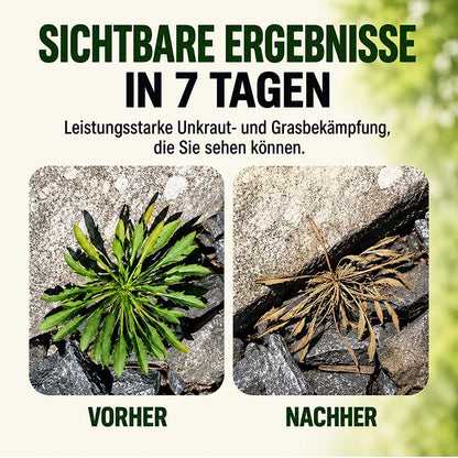 🔥🔥 2026 ANGEBOT – Schnell wirkendes natürliches Unkraut- & Gräservernichtungsspray