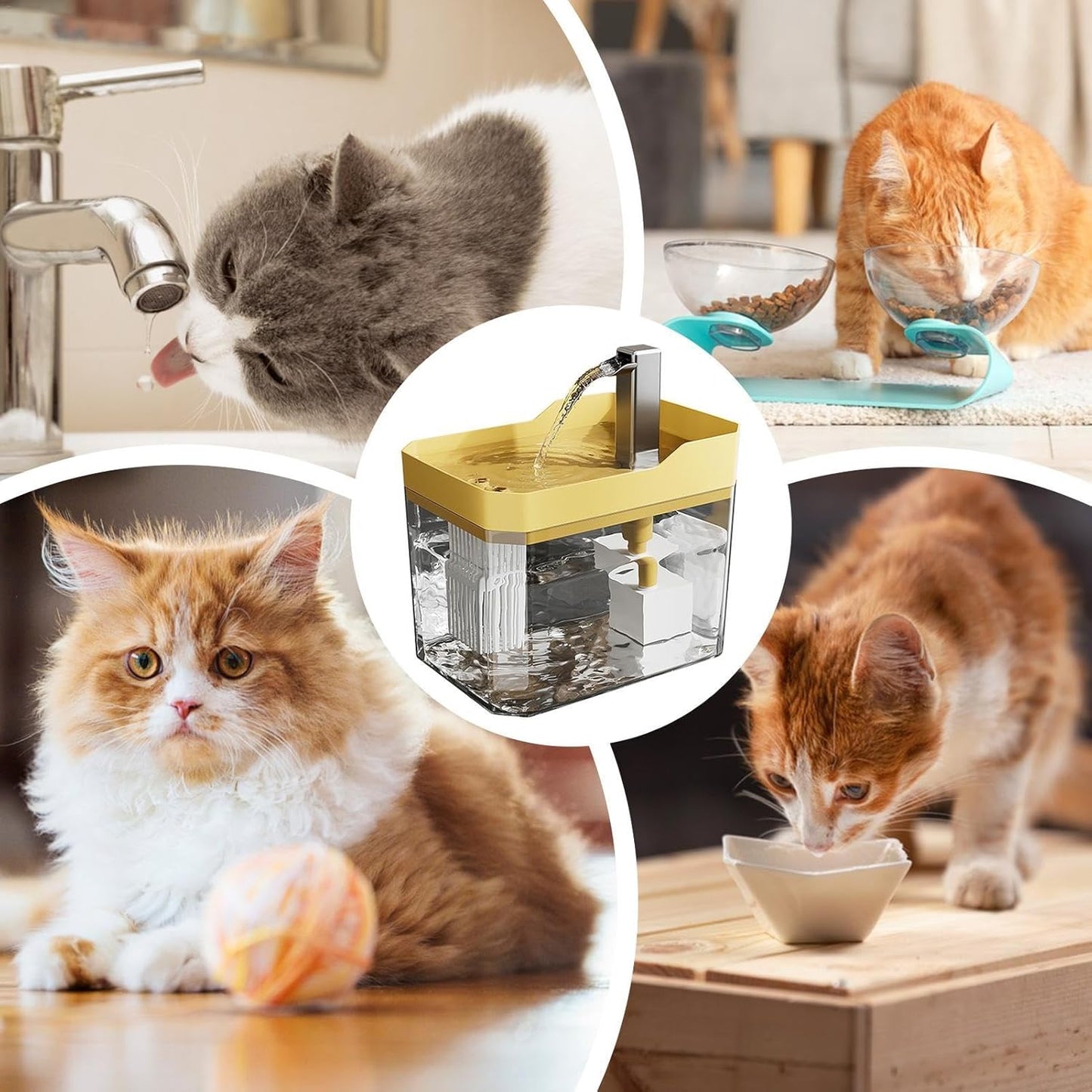🔥💧Automatic Pet Water Fountain🐶😻
